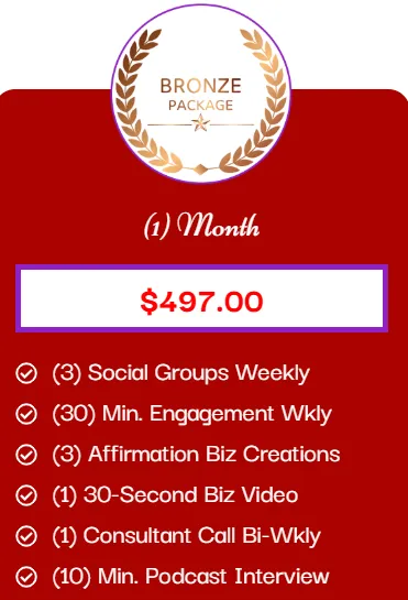Social Media Visibility Bronze - $497