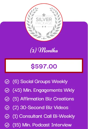 Social Media Visibility Silver – $597