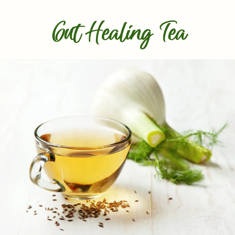 Gut Healing Tea