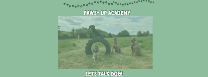 Paws-Up Academy