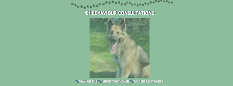 1:1 Behaviour Consultation
