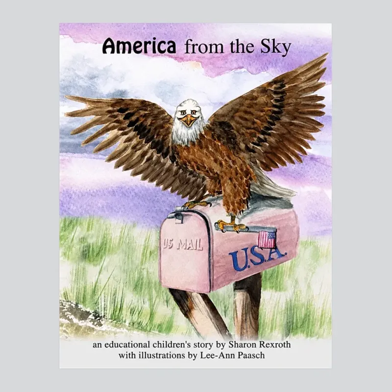 America from the Sky: An Educational Children's Story