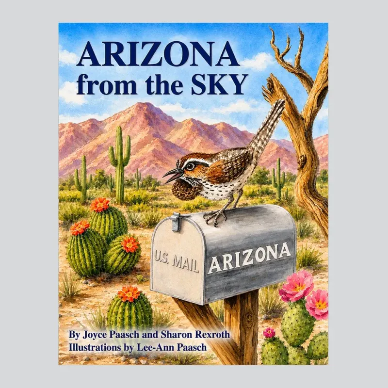 Arizona from the Sky