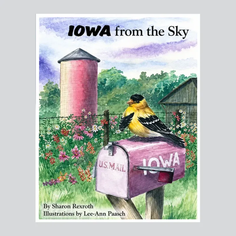 Iowa from the Sky