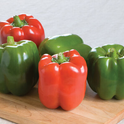 Bell Peppers