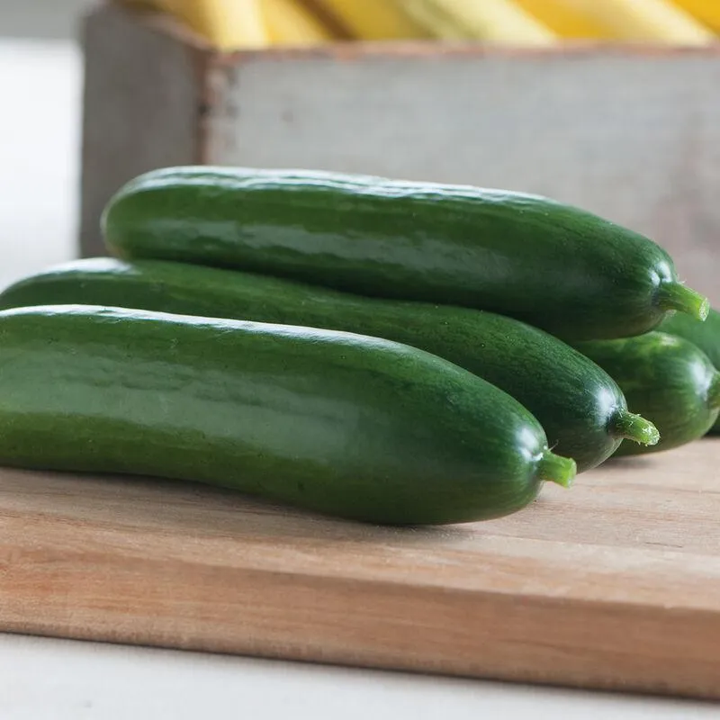 Cucumbers – Diva
