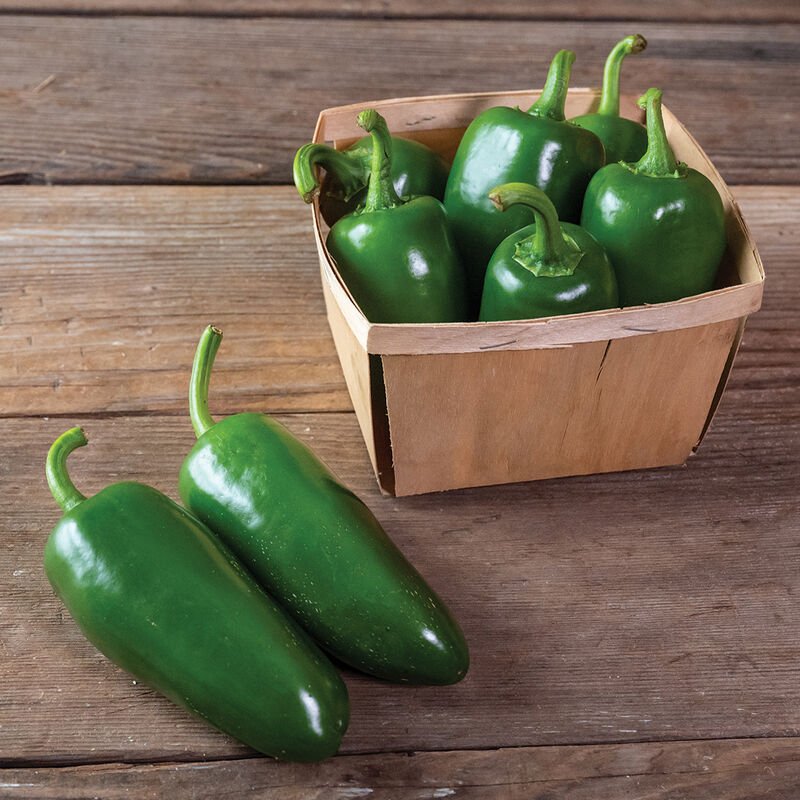 Mild Jalapeños