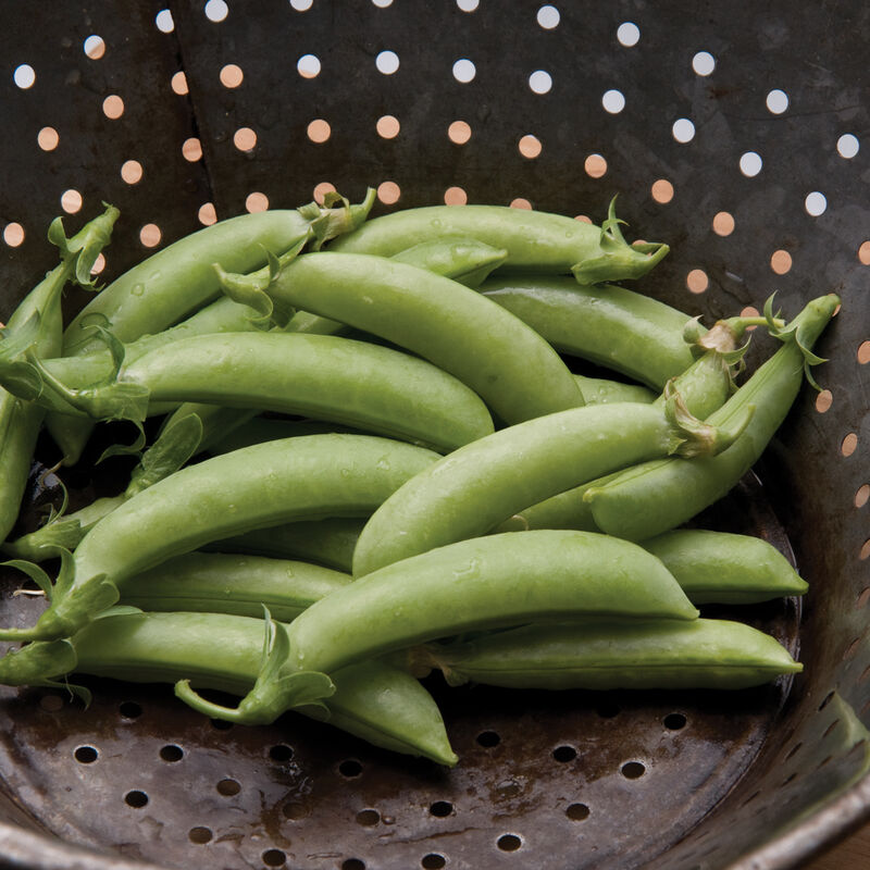 Sugar Snap Peas