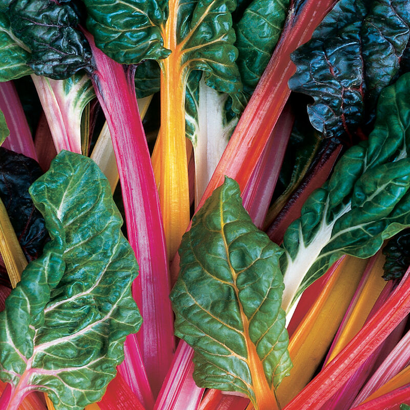 Greens