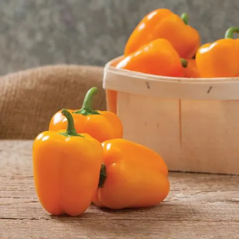 Peppers