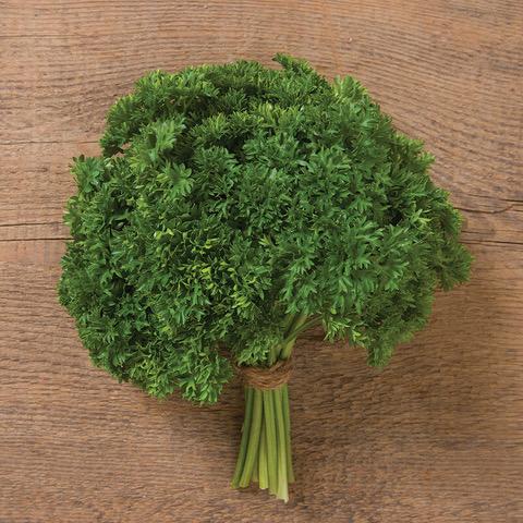 Parsley – Curly