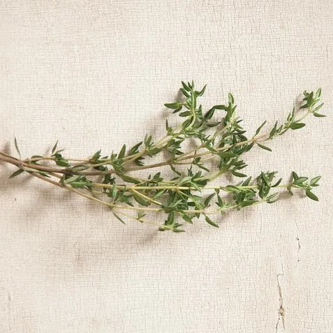 Thyme- Summer