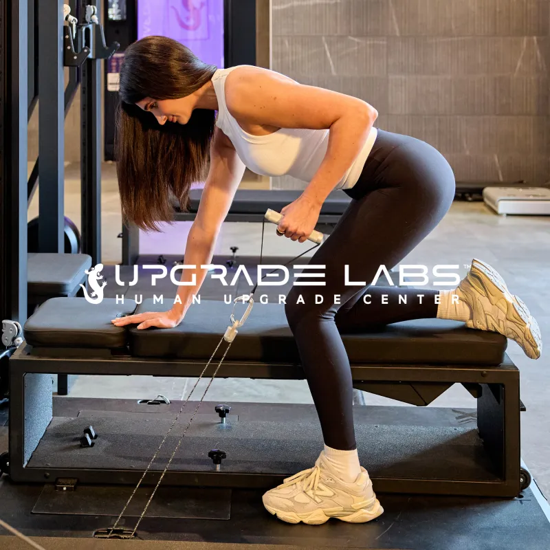 Build Muscle + Lose Fat