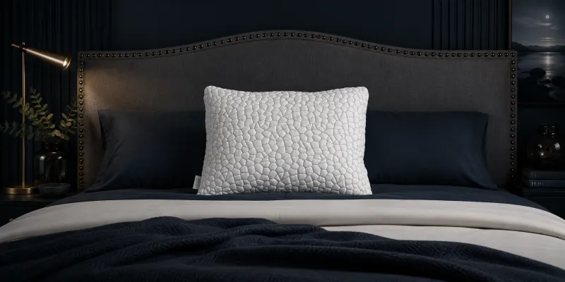 Chiropure Pillow