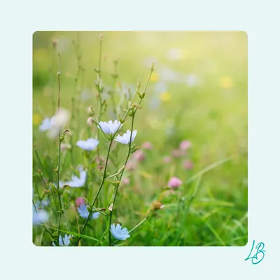 Spring Equinox