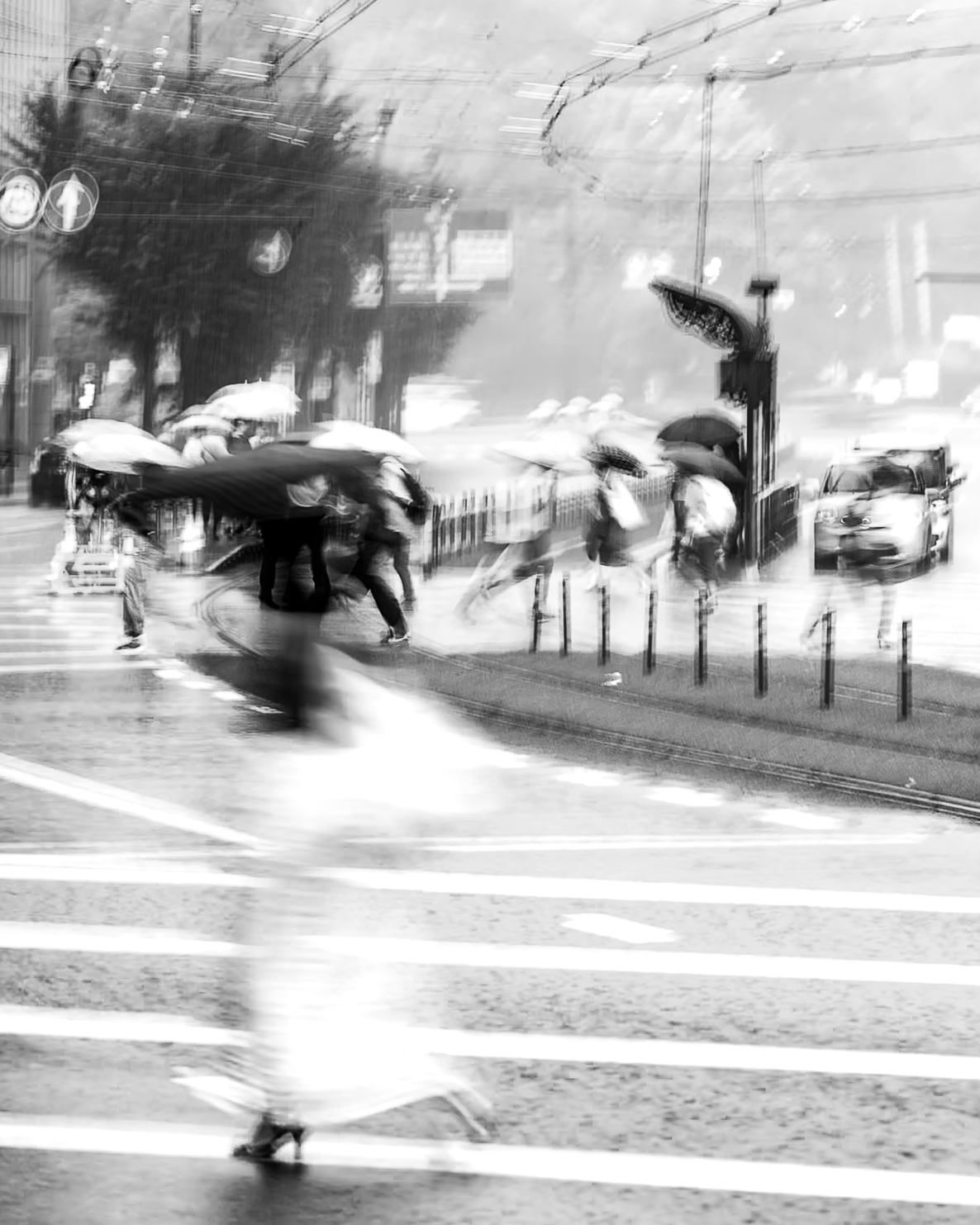 Happier Than Ever | Kumamoto Rain Study No. 1