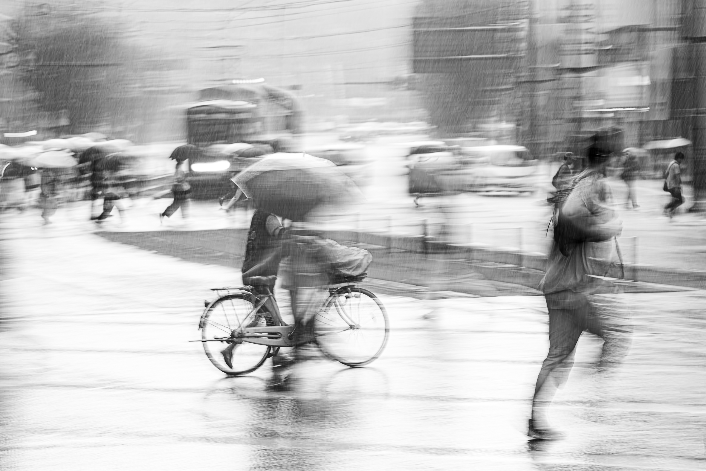 Crosscurrents | Kumamoto Rain Study No. 3