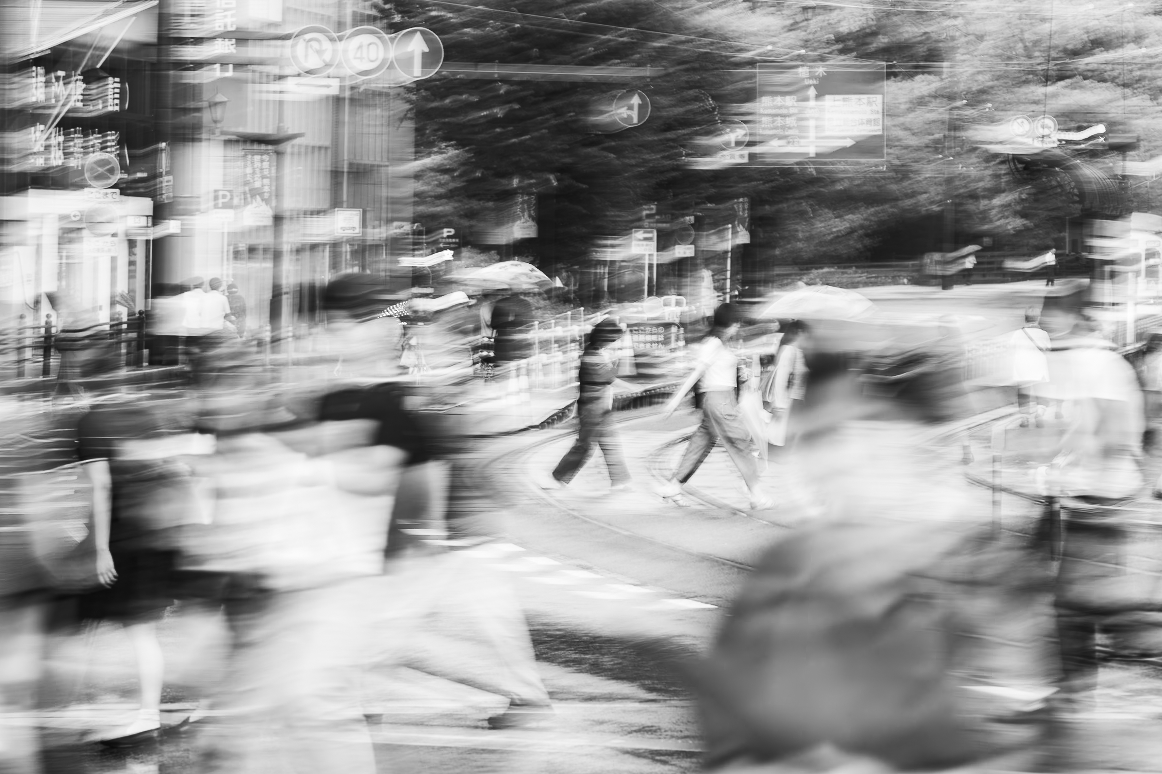 Beat of Your Drum | Kumamoto Rain Study No. 4