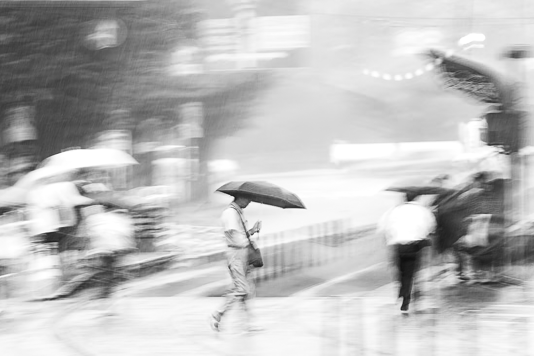 Solitude Amidst the Chaos - Kumamoto Rain Study No. 2