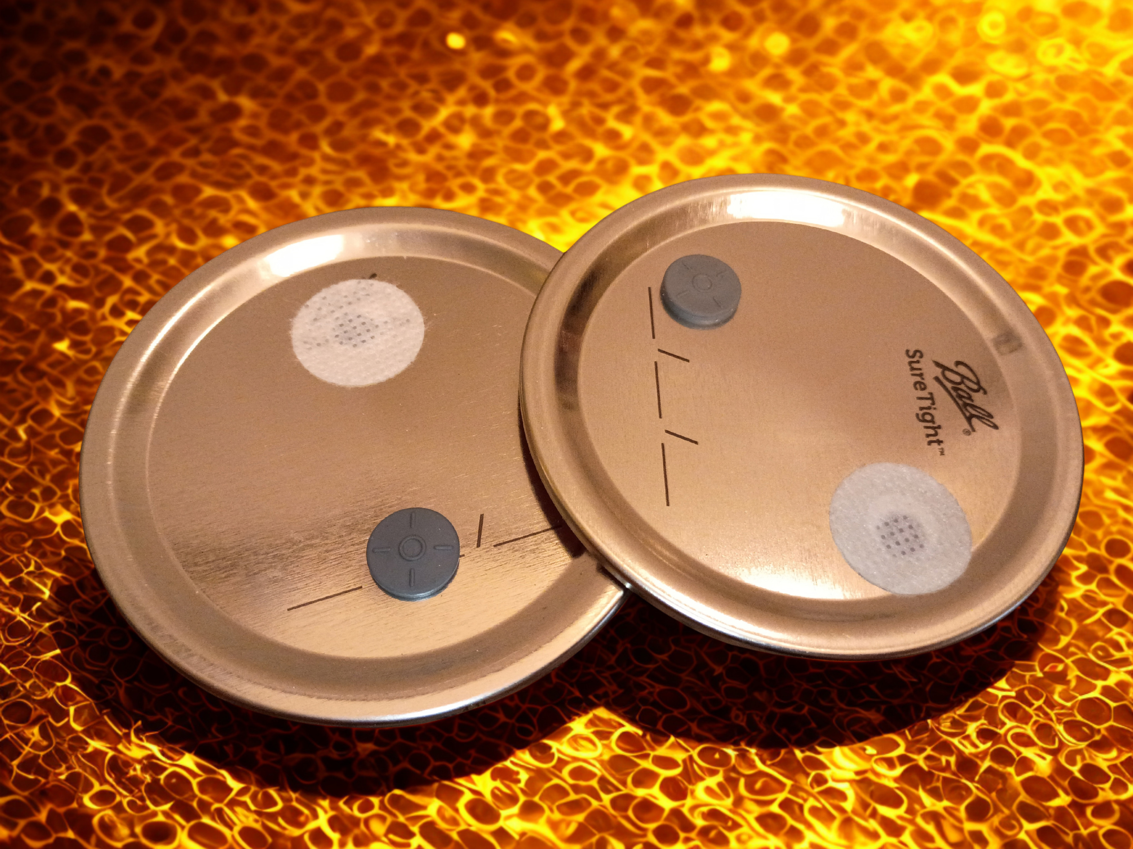 6X Premade Mycology Jar Lids