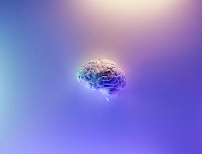 Cognitive Support & Brain Optimization