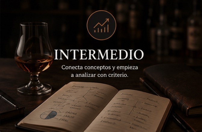 Nivel intermedio
