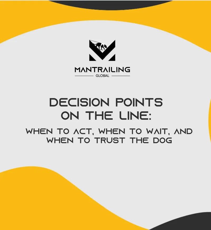Decision points on the line - When to act, when to wait and when to trust the dog
