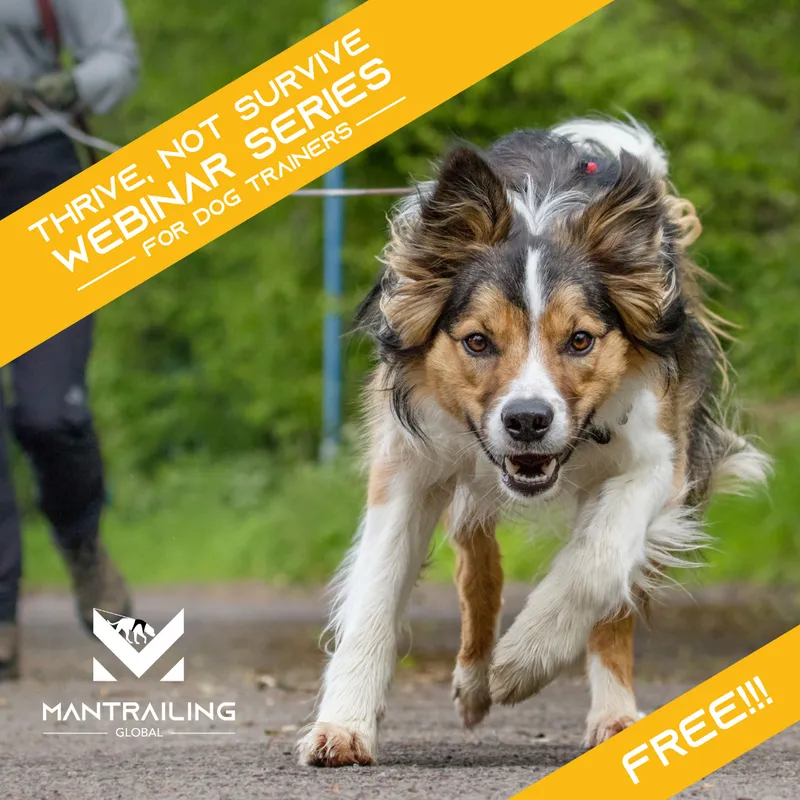 Building Your Dog Training Business Around You