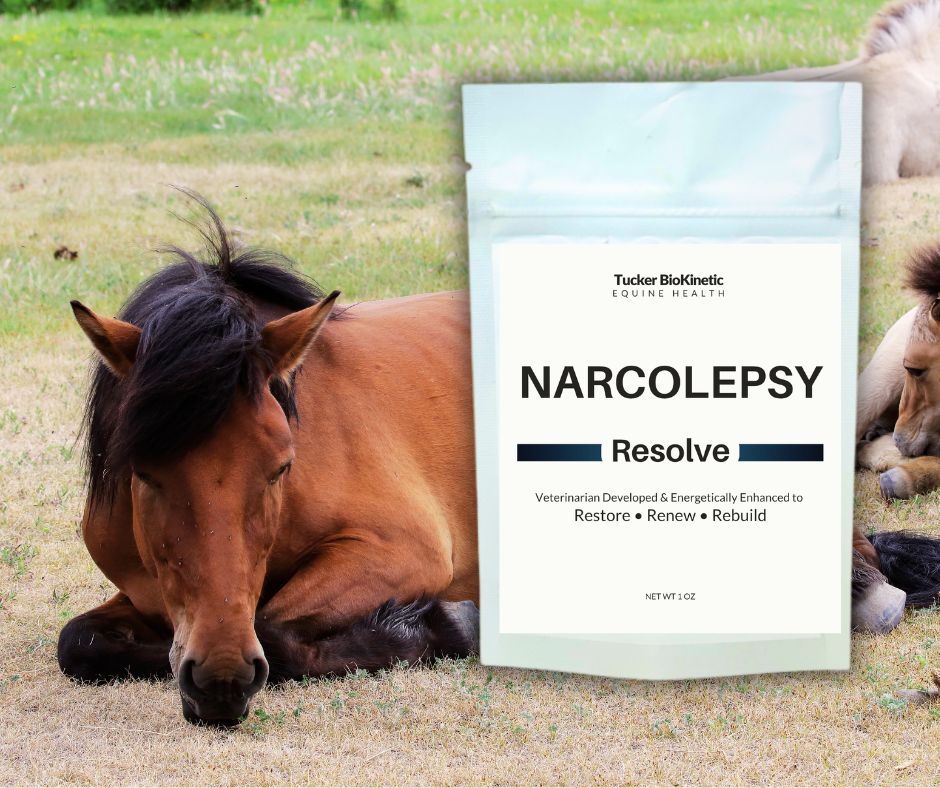 Narcolepsy Resolve