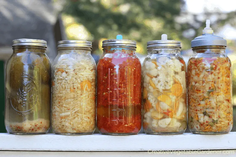 Fermentation 101 Demonstration — September 12, 2026