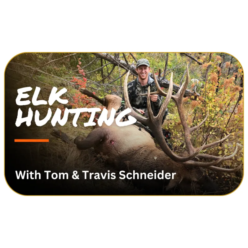 Elk Hunting Masterclass with Tom & Travis Schneider