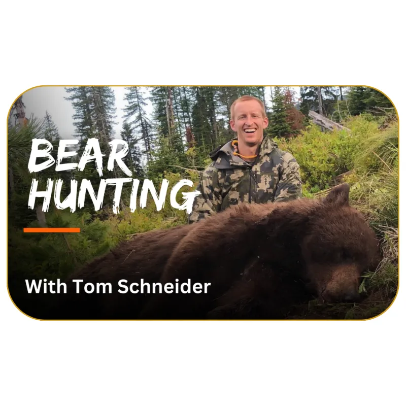 Bear Hunting with Tom Schneider 