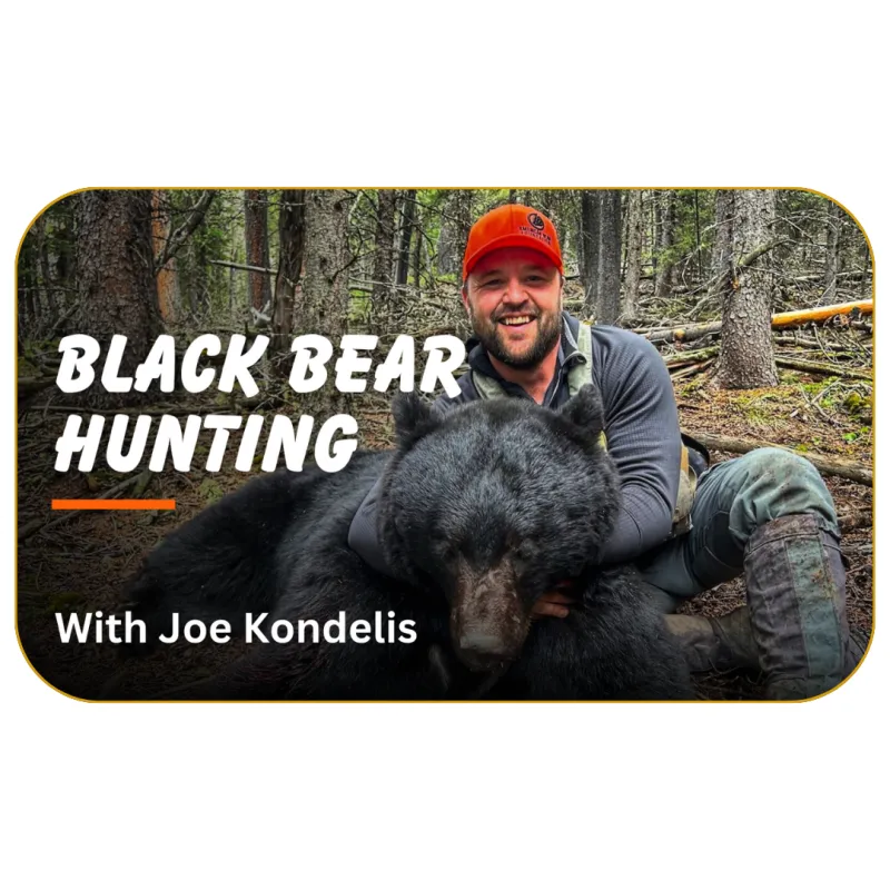 Black Bear Hunting with Joe Kondelis 