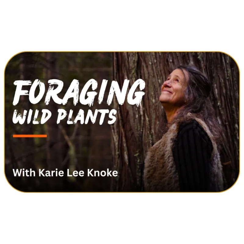 Foraging Wild Plants with Karie Lee Knoke
