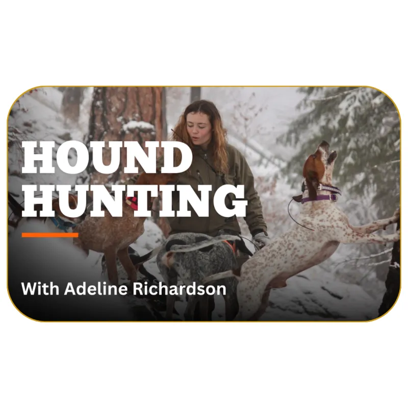 Hound Hunting with Adeline Richardson