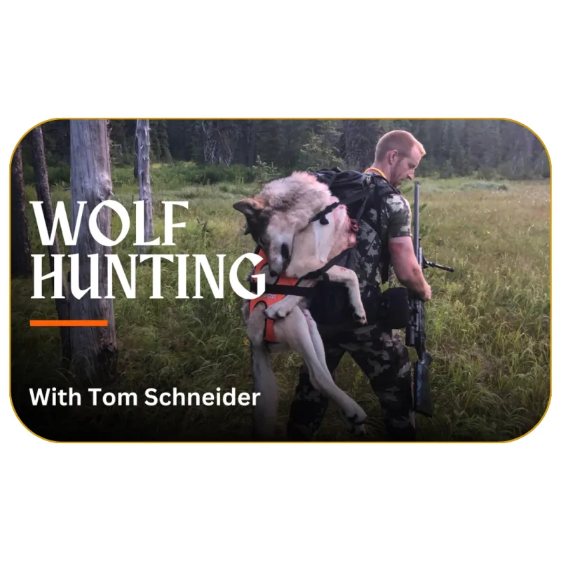 Wolf Hunting with Tom Schneider