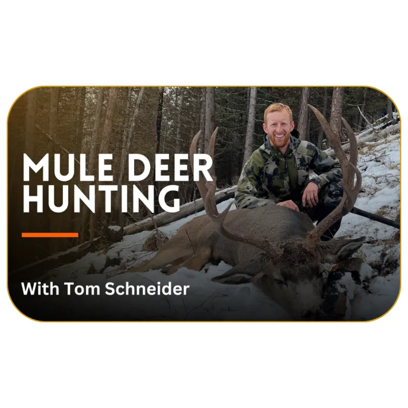 Mule Deer Hunting with Tom Schneider
