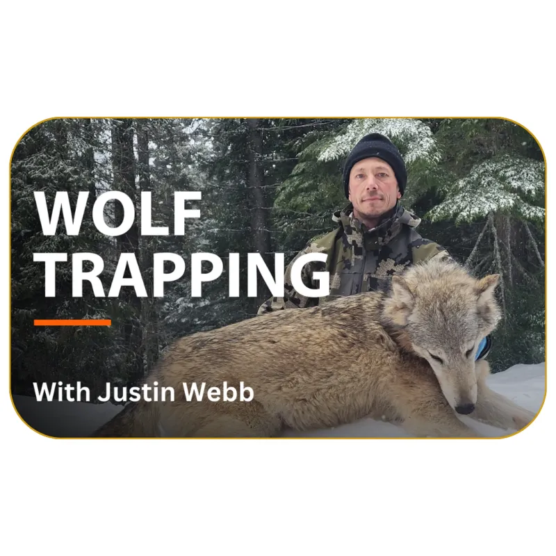 Wolf Trapping with Justin Webb