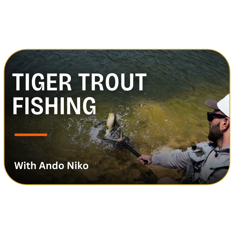 Tiger Trout Fishing with Ando Niko