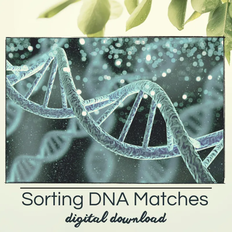 Sorting DNA Matches on Ancestry (Step-by-Step)