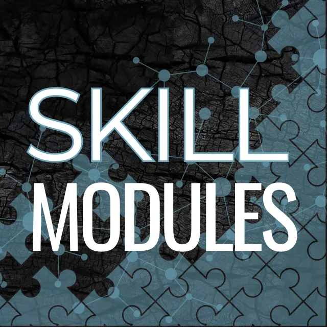 OSINT Skill Modules