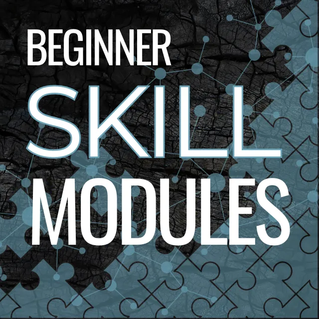 Beginner OSINT Skills Modules