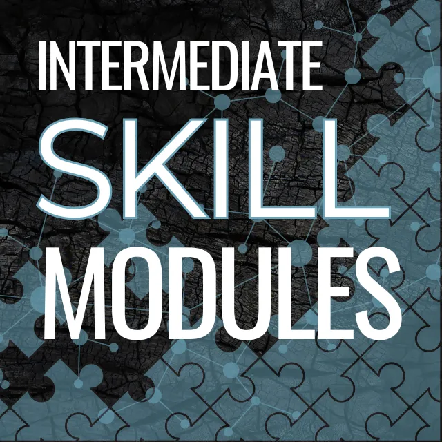Intermediate OSINT Skills Modules