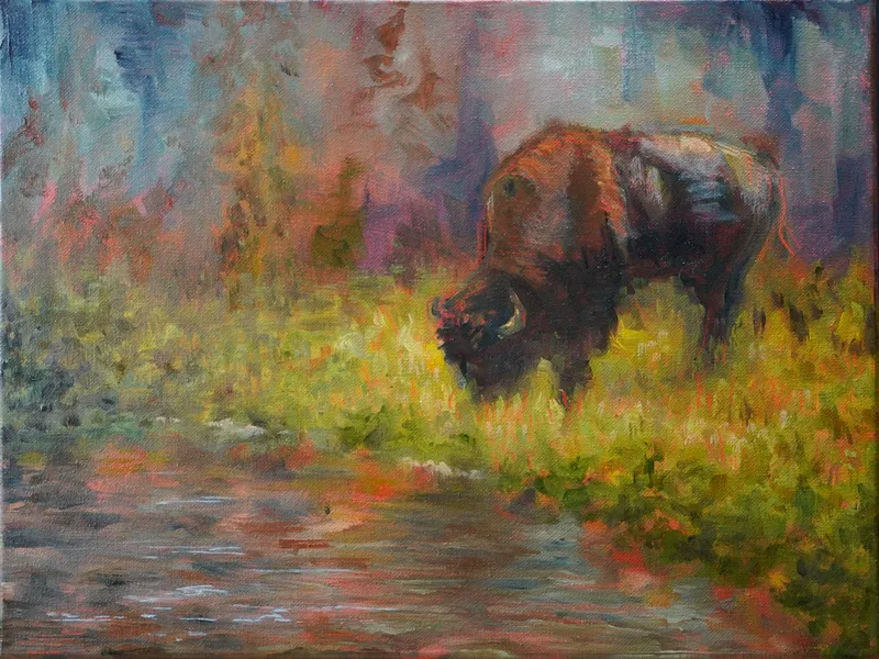 Bison by the Creek
