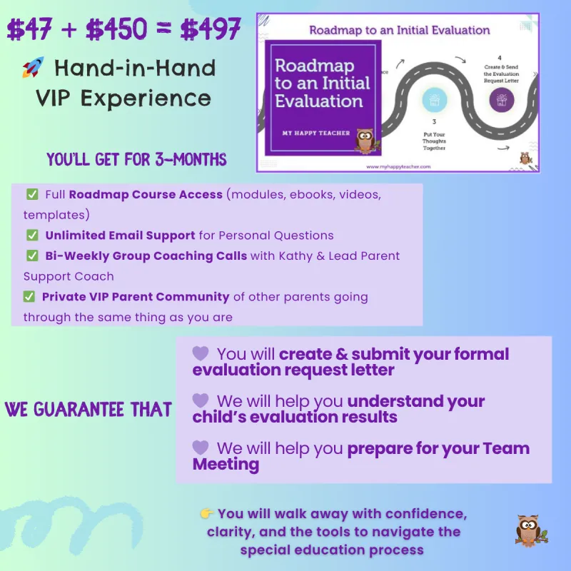 Hand in Hand VIP Experience - Roadmap to Evaluation