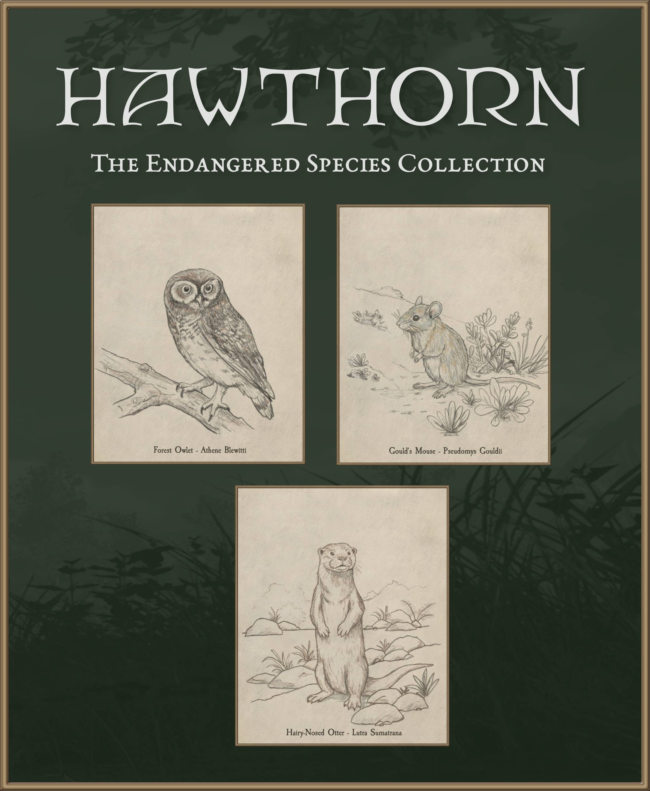 Hawthorn - The Endangered Species Collection Volume One - Pre-Order DLC Pre-Order