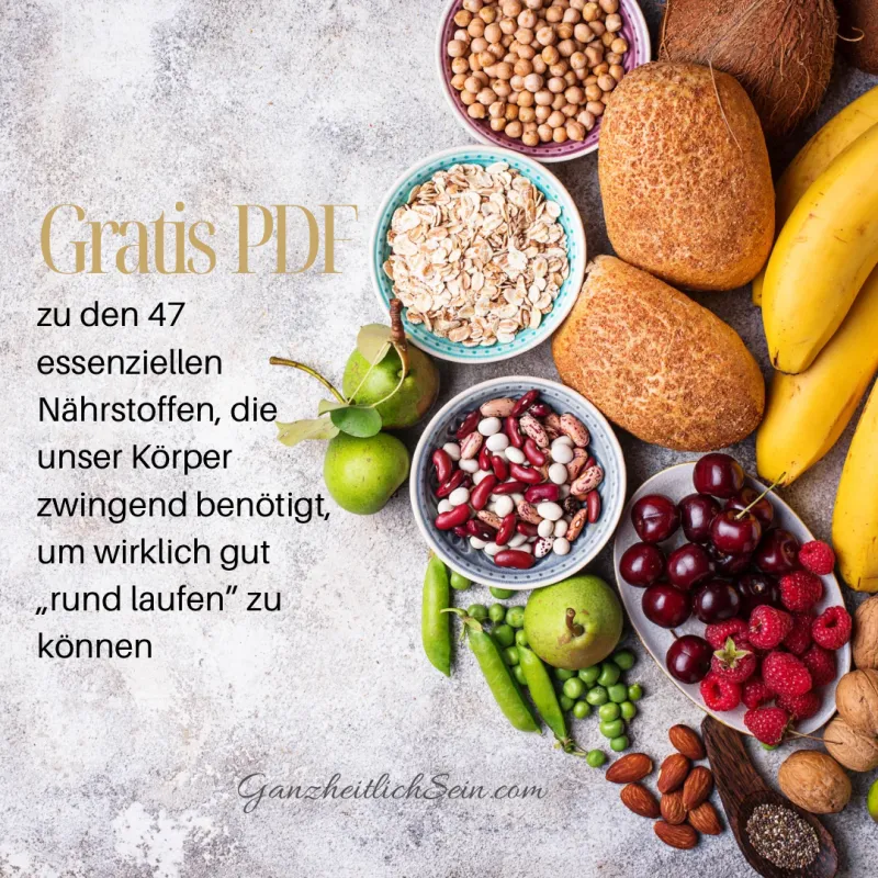 Die 47 essentiellen Nährstoffe