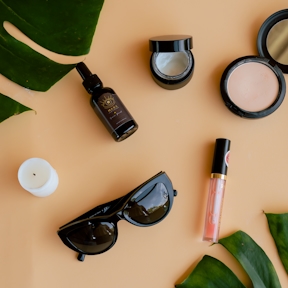 Explore the Shopiverse Collection