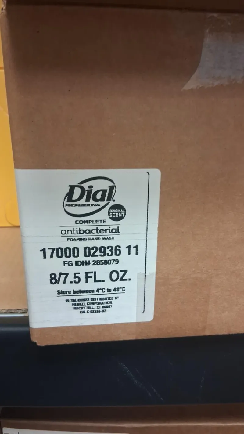 Dial Soap Foaming Handwash (8 units per box)