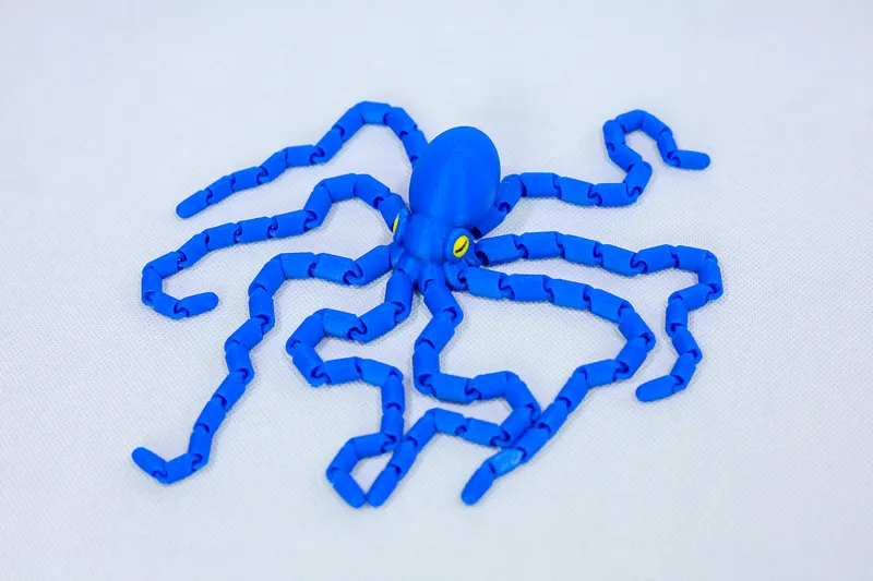 Long Tentacle Octopus